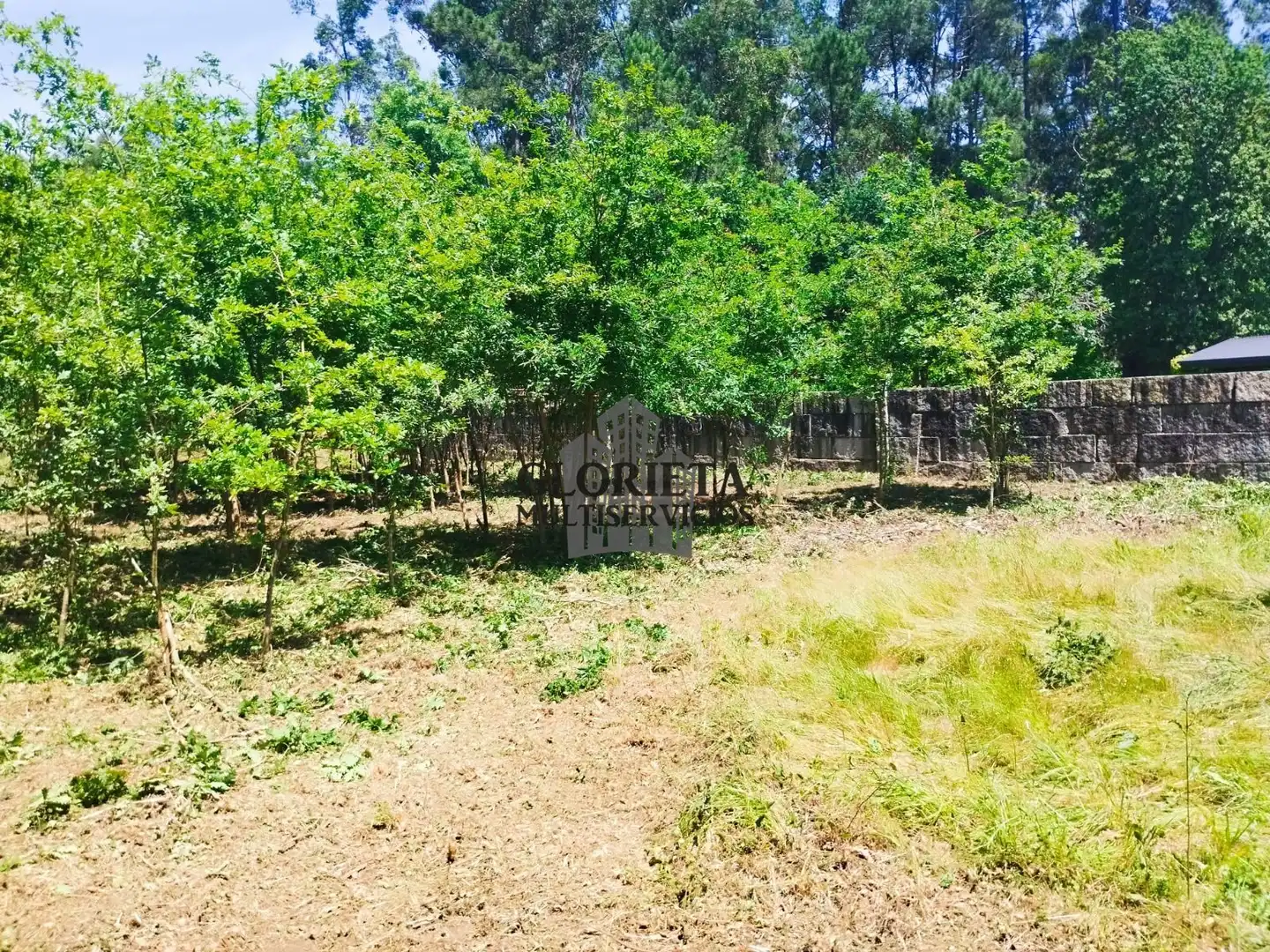 Terreno rústico en venta en Tui, imagen 8
