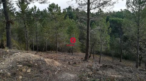 Foto 4 de Residencial en venda a Calle Castor, 49, Riudarenes, Girona