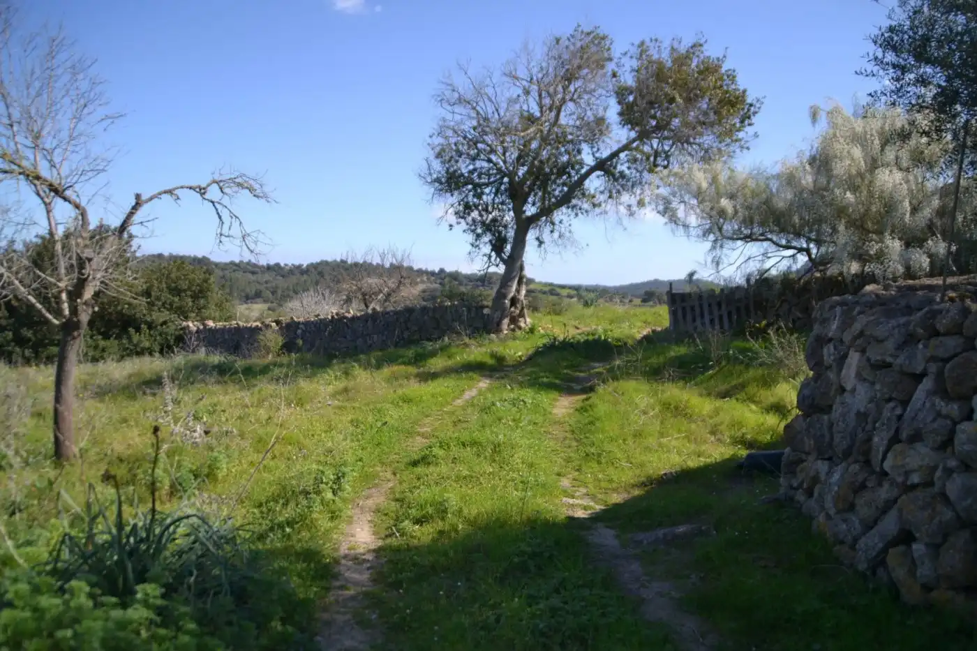 Casa rústica amb jardí en venda a Sant Llorenç des Cardassar, imagen 24