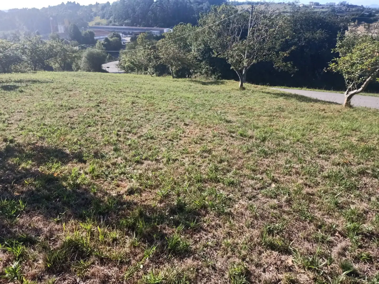 Terrain rustique à vendre à Barrio Cenero Urbano 10A, imagen 10