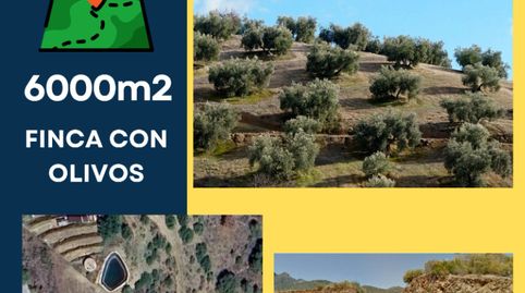 Foto 5 de Terreno en venta en Plaza de la Victoria, 2, Almuñecar Centro, Almuñécar