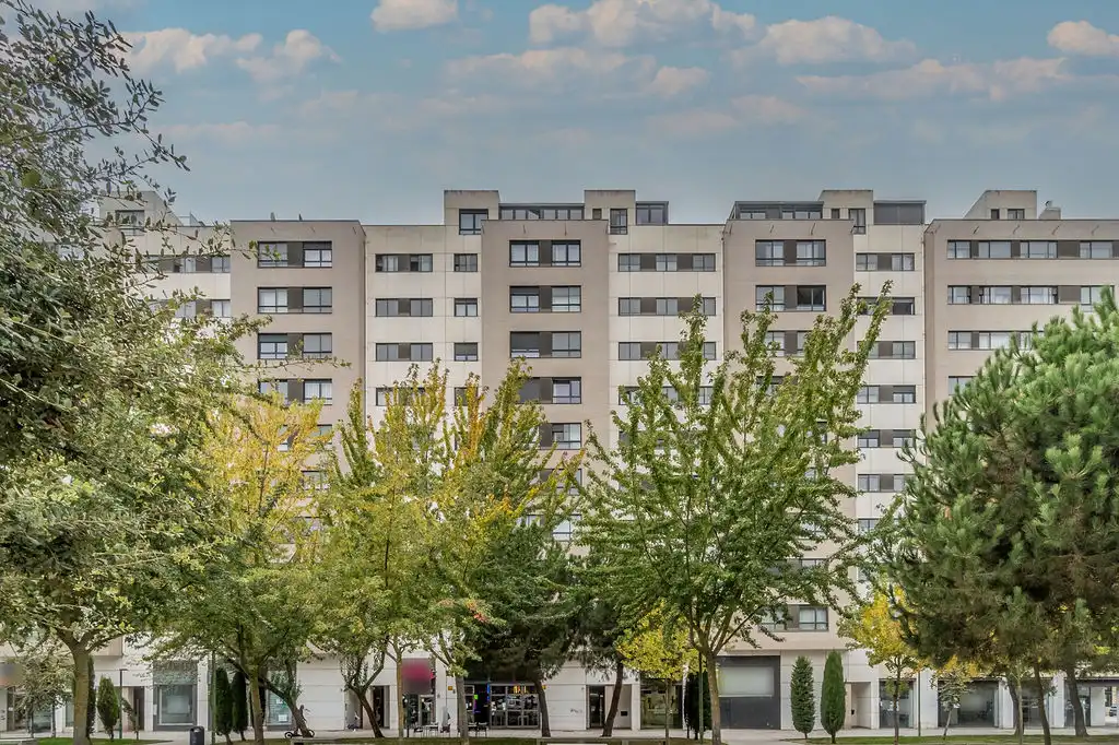 Piso en venta en C/ Esteban Saez de Alvarado, Gamonal - San Bruno - G9