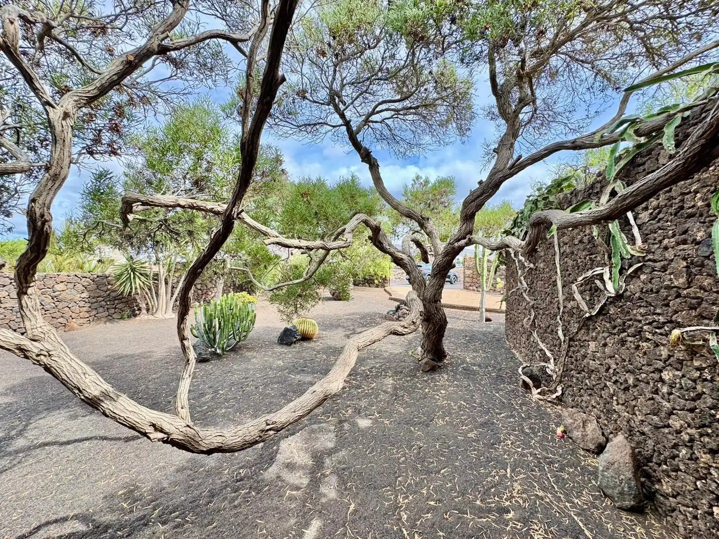 Garten von Haus oder Chalet zum Verkauf in Yaiza mit Privatgarten