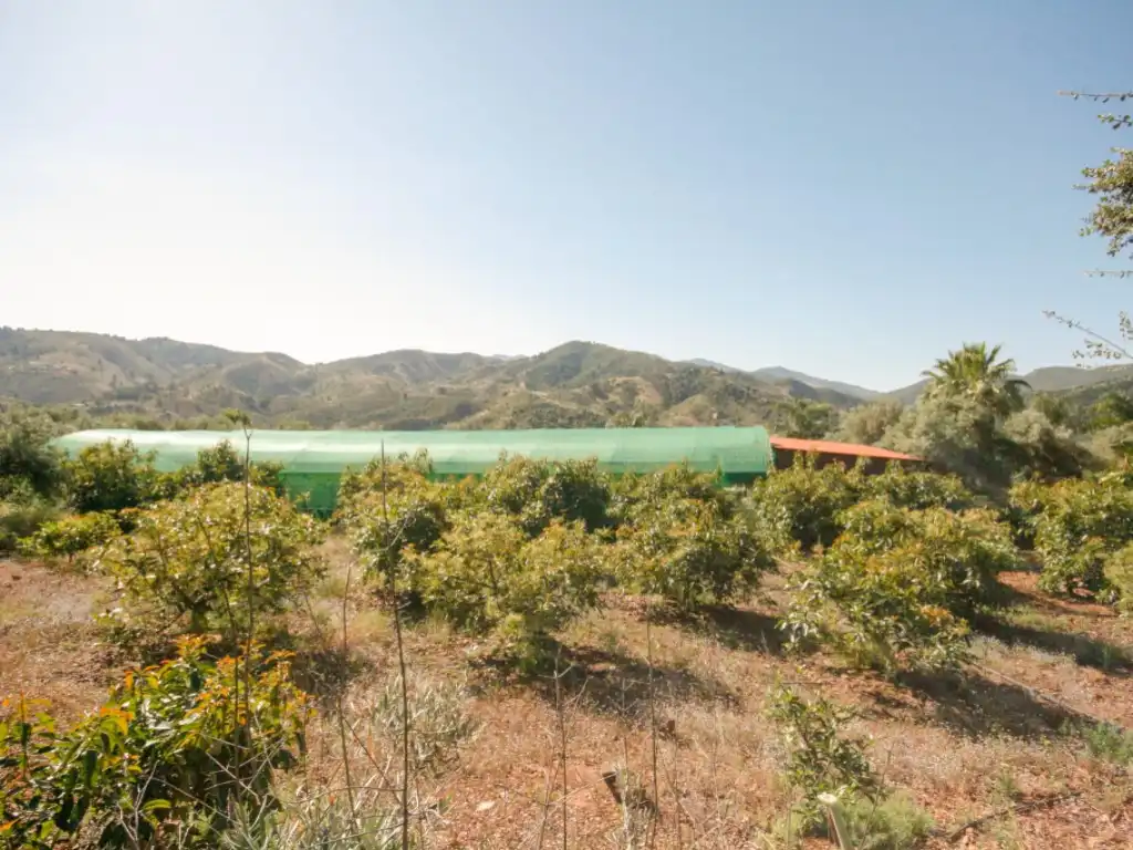 Houses for sale in Monda