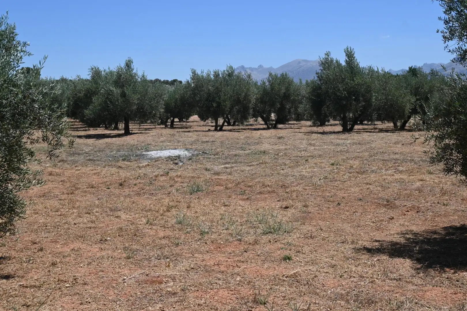 Terreni e lotti in vendita a Albolote, imagen 19