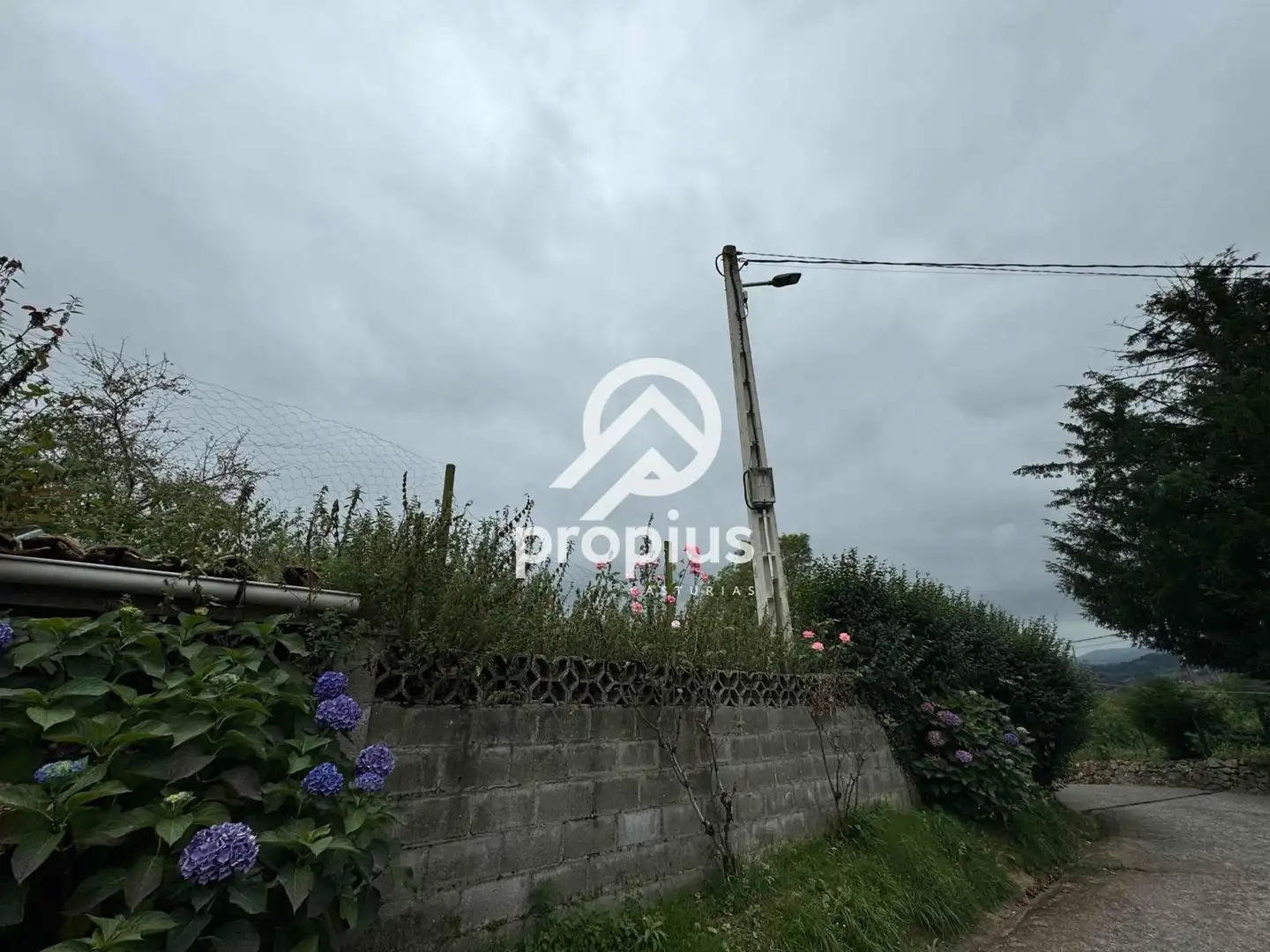 Rural land for sale in Arenas, imagen 34