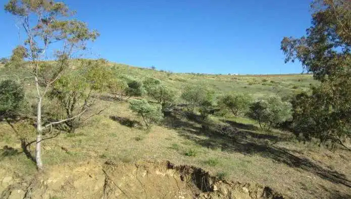 Terreny rústic en venda a Paraje Saladillo, Plg 5, Parc. 51, imagen 7