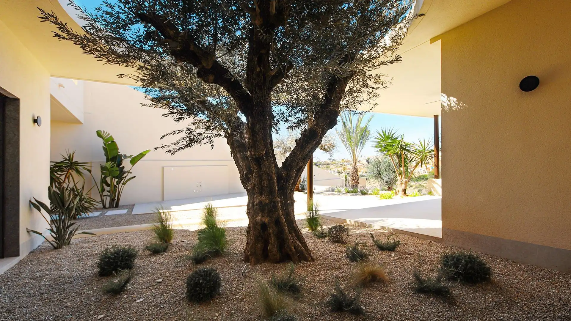 Terrassa de Casa o xalet en venda en Elche / Elx amb Jardí privat, Terrassa i Piscina