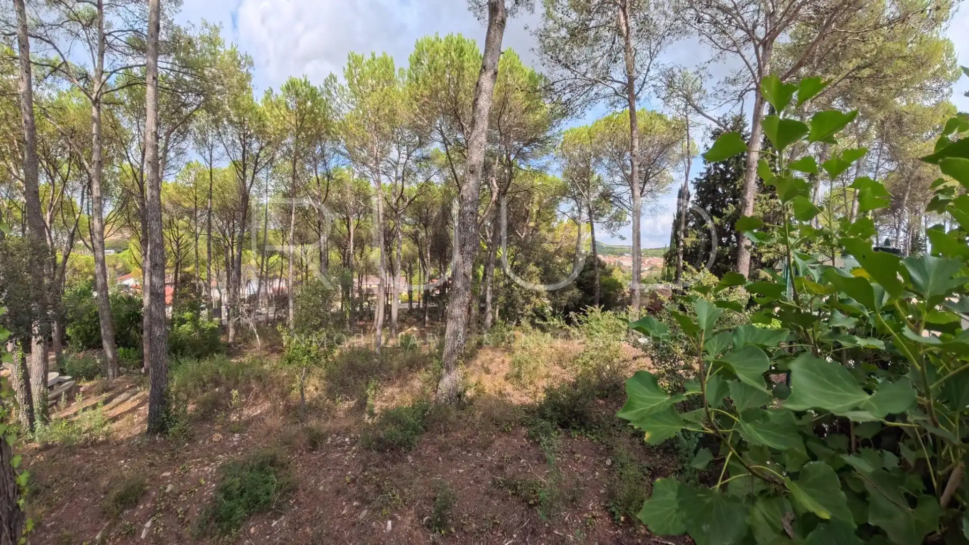 Wohnbaugrundstück zum Verkauf in Carrer dels Pallars, imagen 3