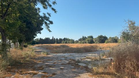 Foto 2 de Terreny de lloguer a Churriana - El Pizarrillo - La Noria-Guadalsol, Málaga Capital