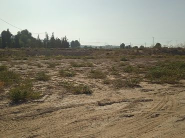 Rural land for sale in Alhama de Murcia ciudad