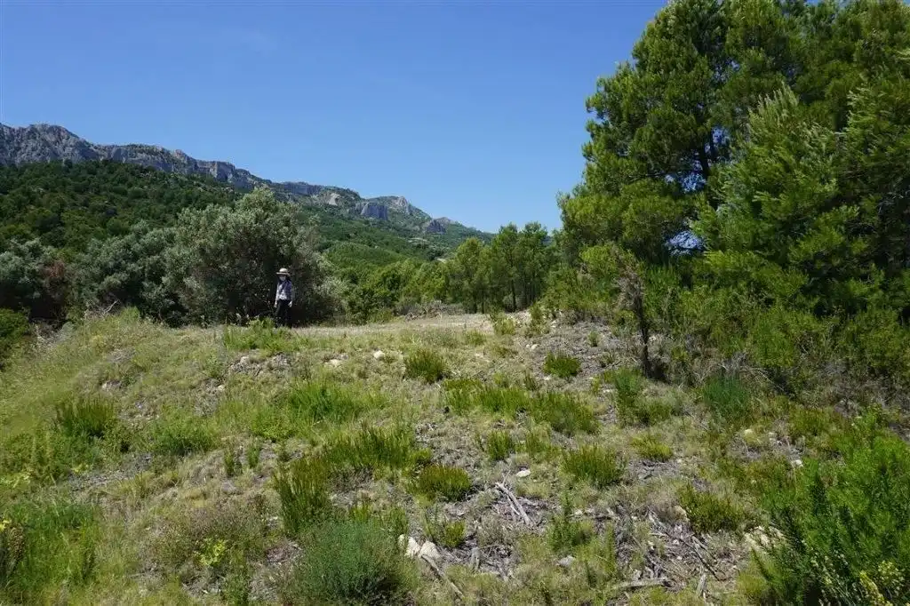 Land for sale in El Castell de Guadalest