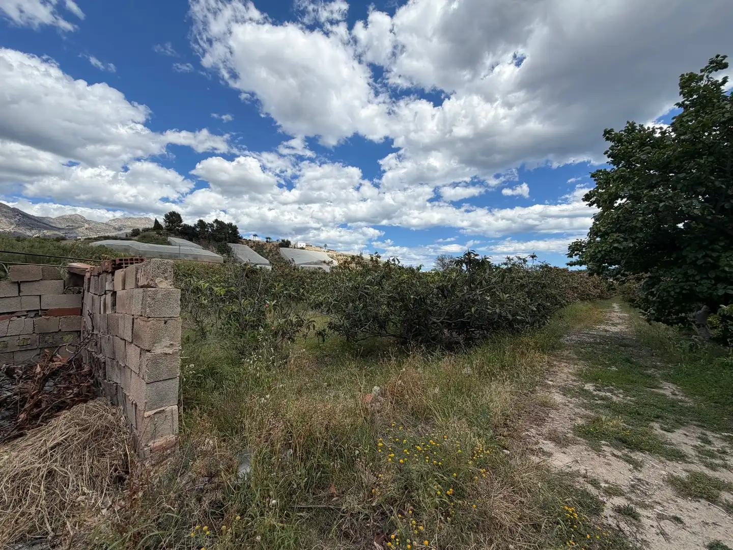 Finca rústica en venda en La Nucia amb Traster