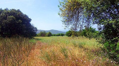 Photo 3 of Land for sale in Zona Periurbana, Illes Balears