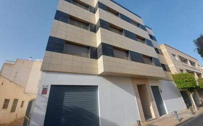 Exterior view of Flat for sale in El Ejido  with Terrace