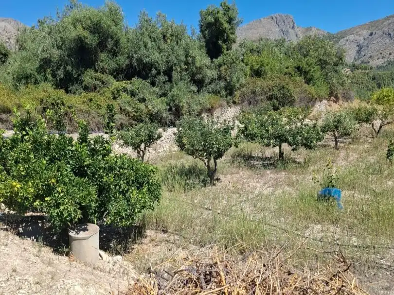 Grundstücke zum Verkauf in Beniardà
