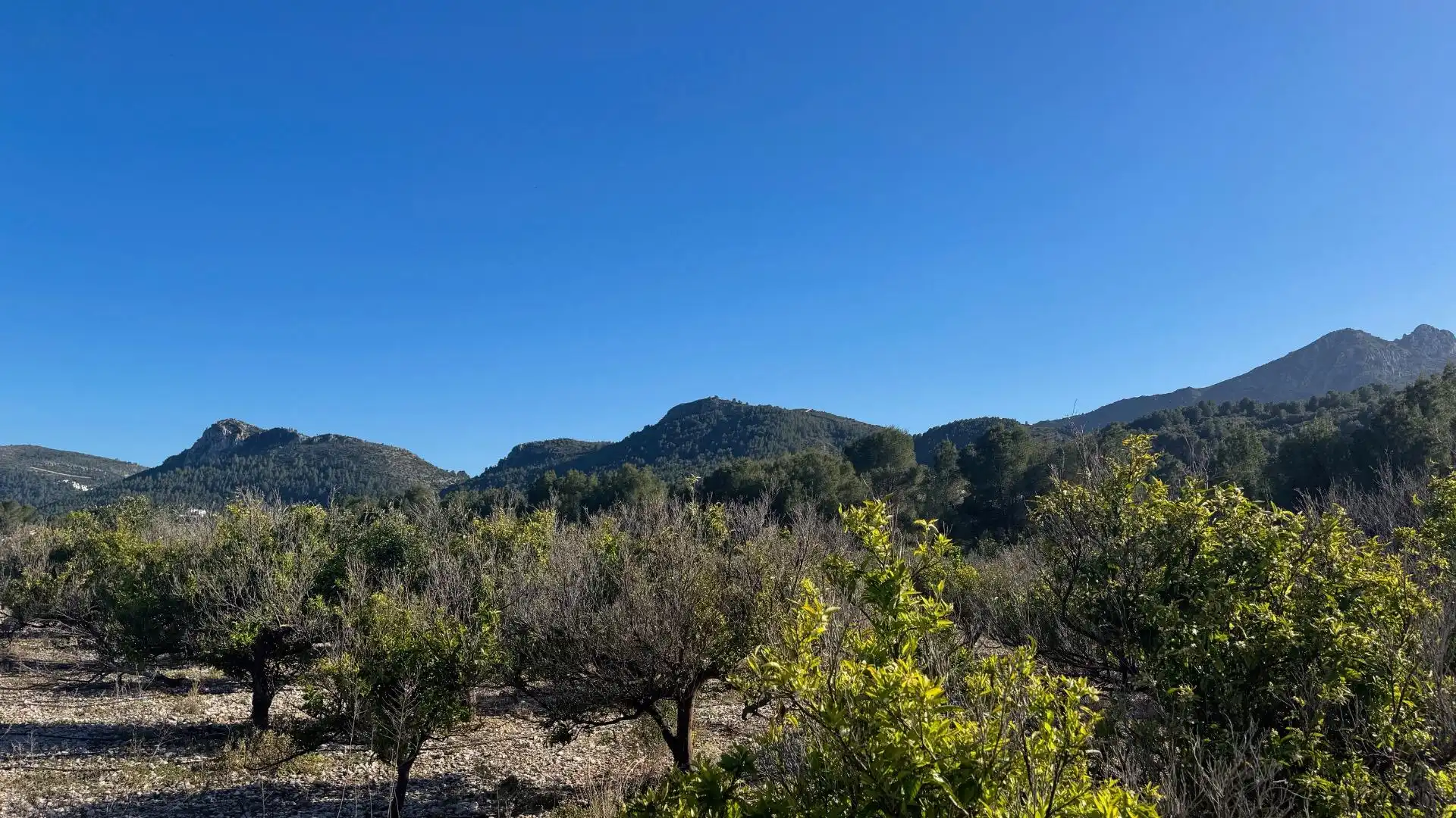 Terrenys i solars en venda a Orba, imagen 7