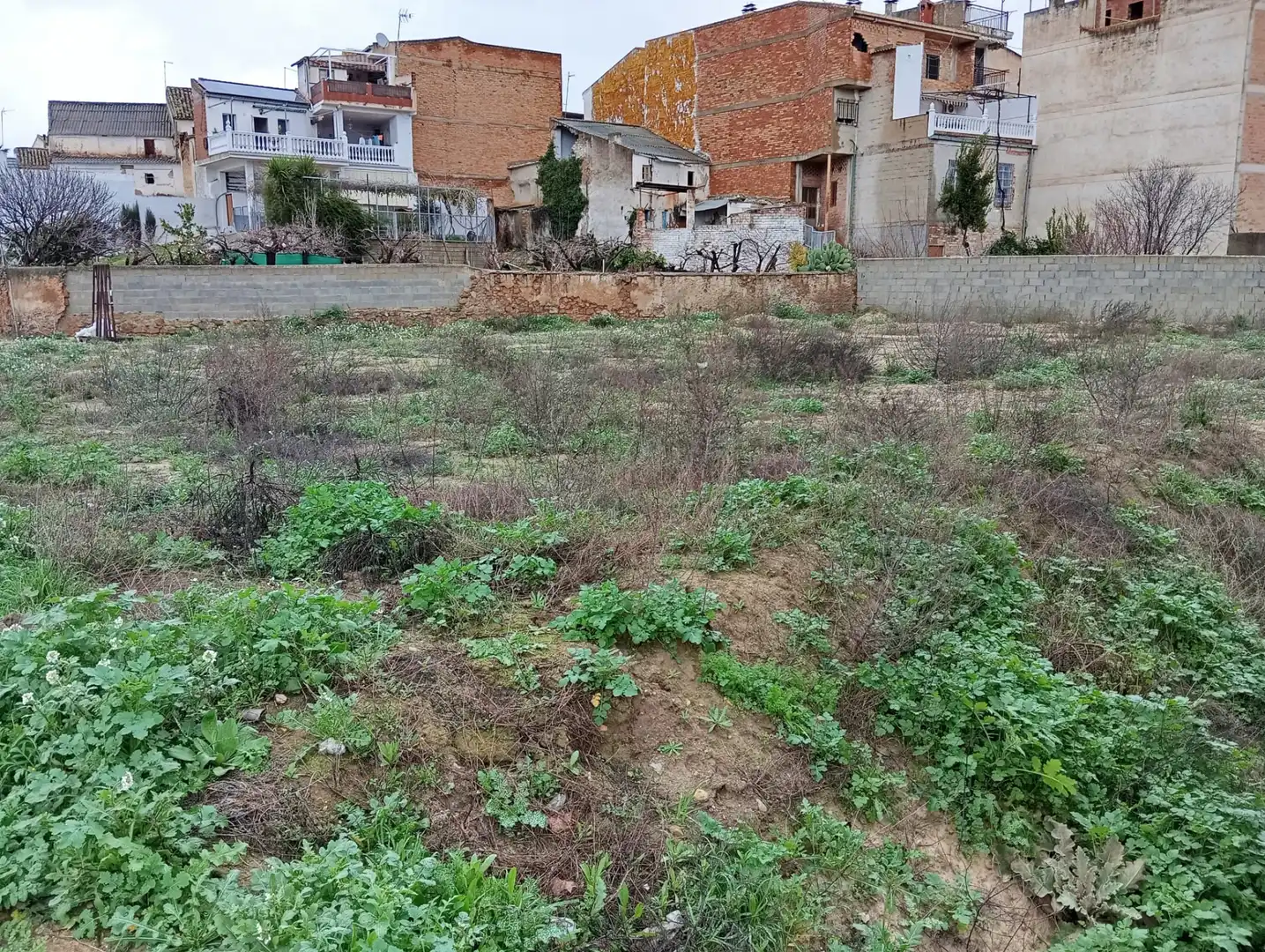 Terreno residencial en venta en Calle la Noria, imagen 5