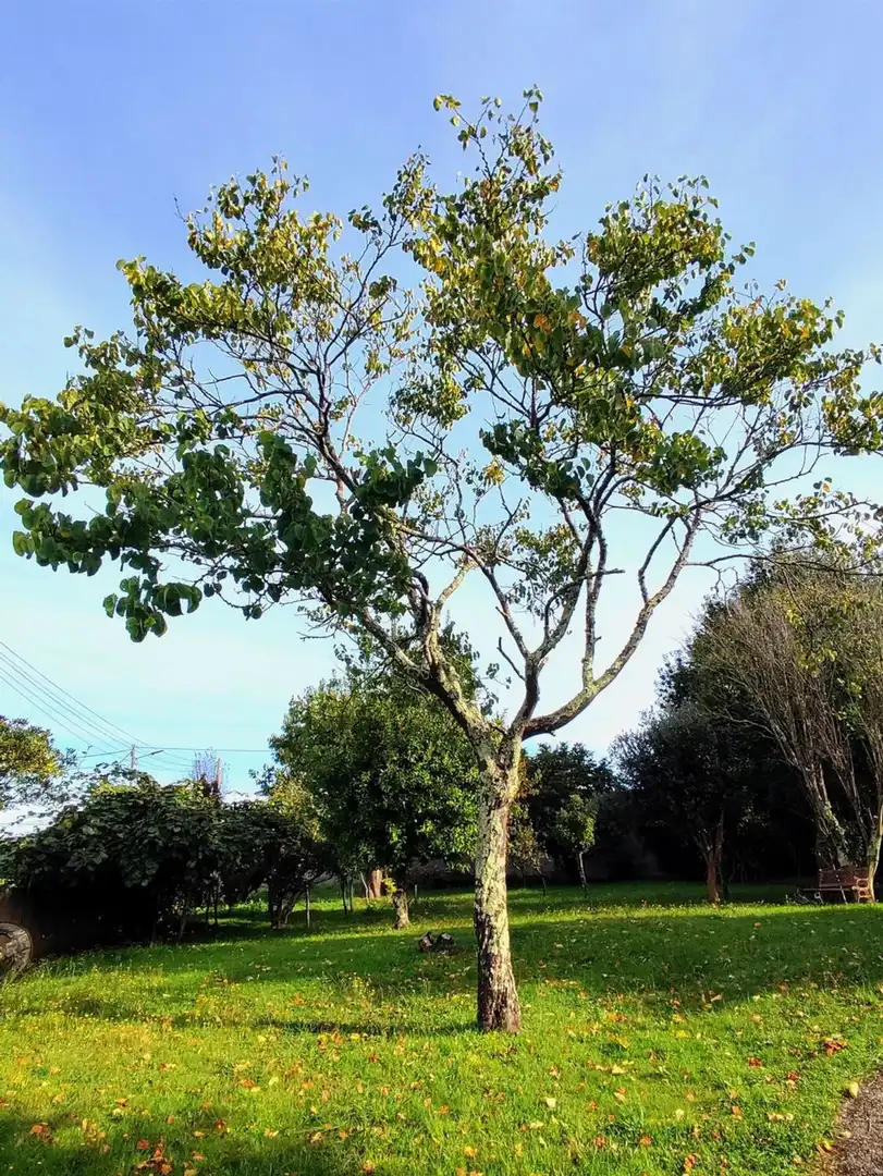 Xalet amb jardí en venda a Camino Sada Armuño, imagen 11