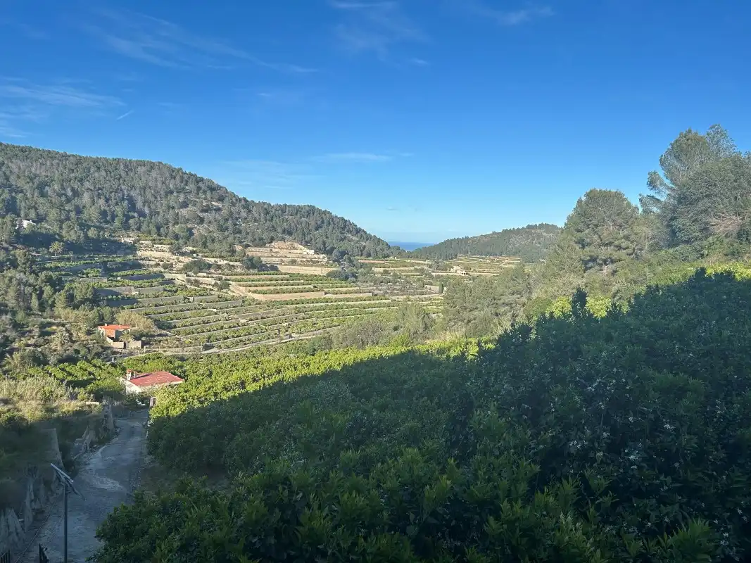 Finca rústica en venda en Oliva amb Moblat