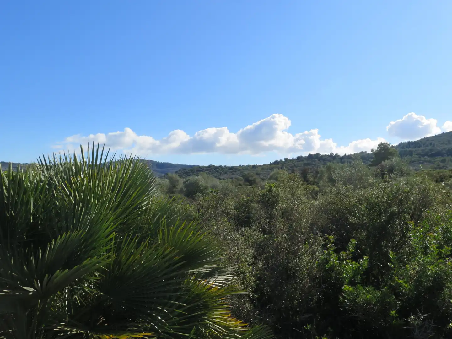 Rural land for sale in Godall, imagen 4