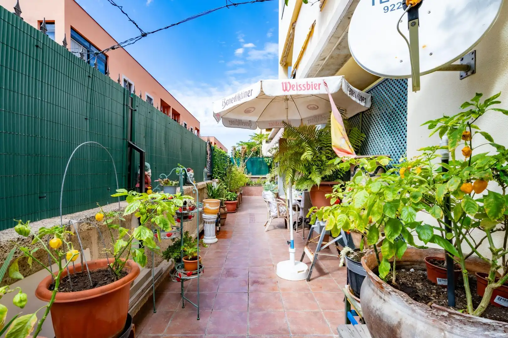 Terrace of Flat for sale in Adeje  with Private garden, Terrace and Balcony
