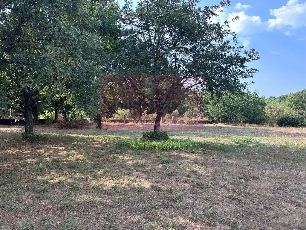 Terreni e lotti in vendita a O Corgo, imagen 3