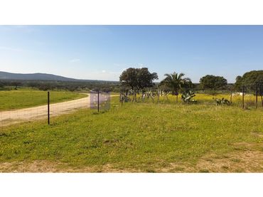 Casa en venda a Aliseda