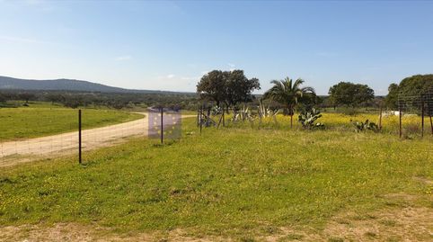 FINCA MIXTA GANADERA Y CAZA