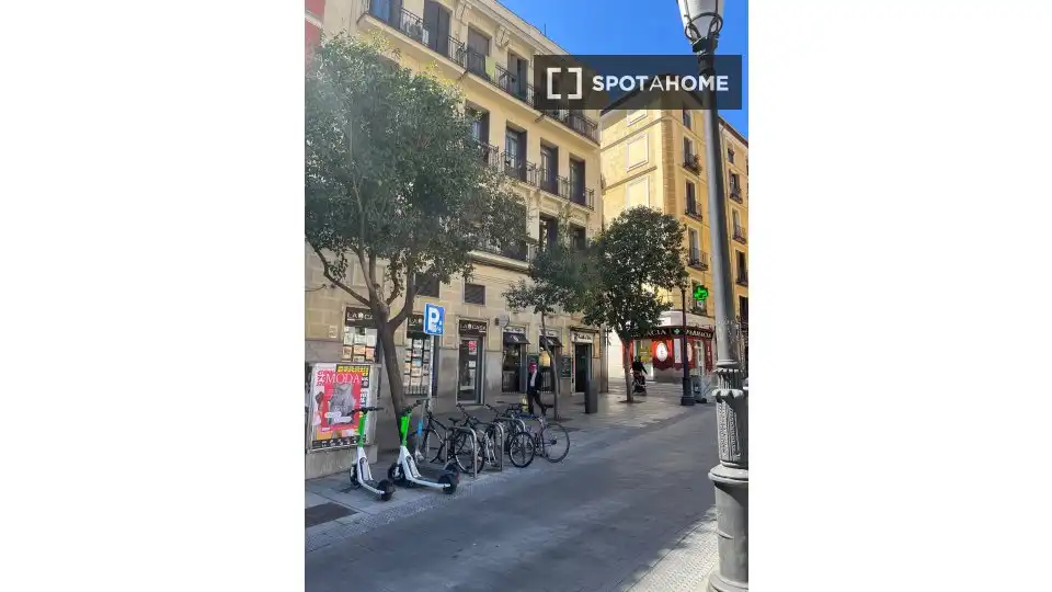 Piso en alquiler en Centro, imagen 8