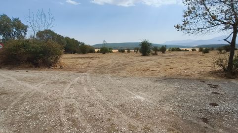 VGP Madarcos., imatge 4