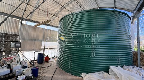 4.600 M2 DE INVERNADERO, imatge 5