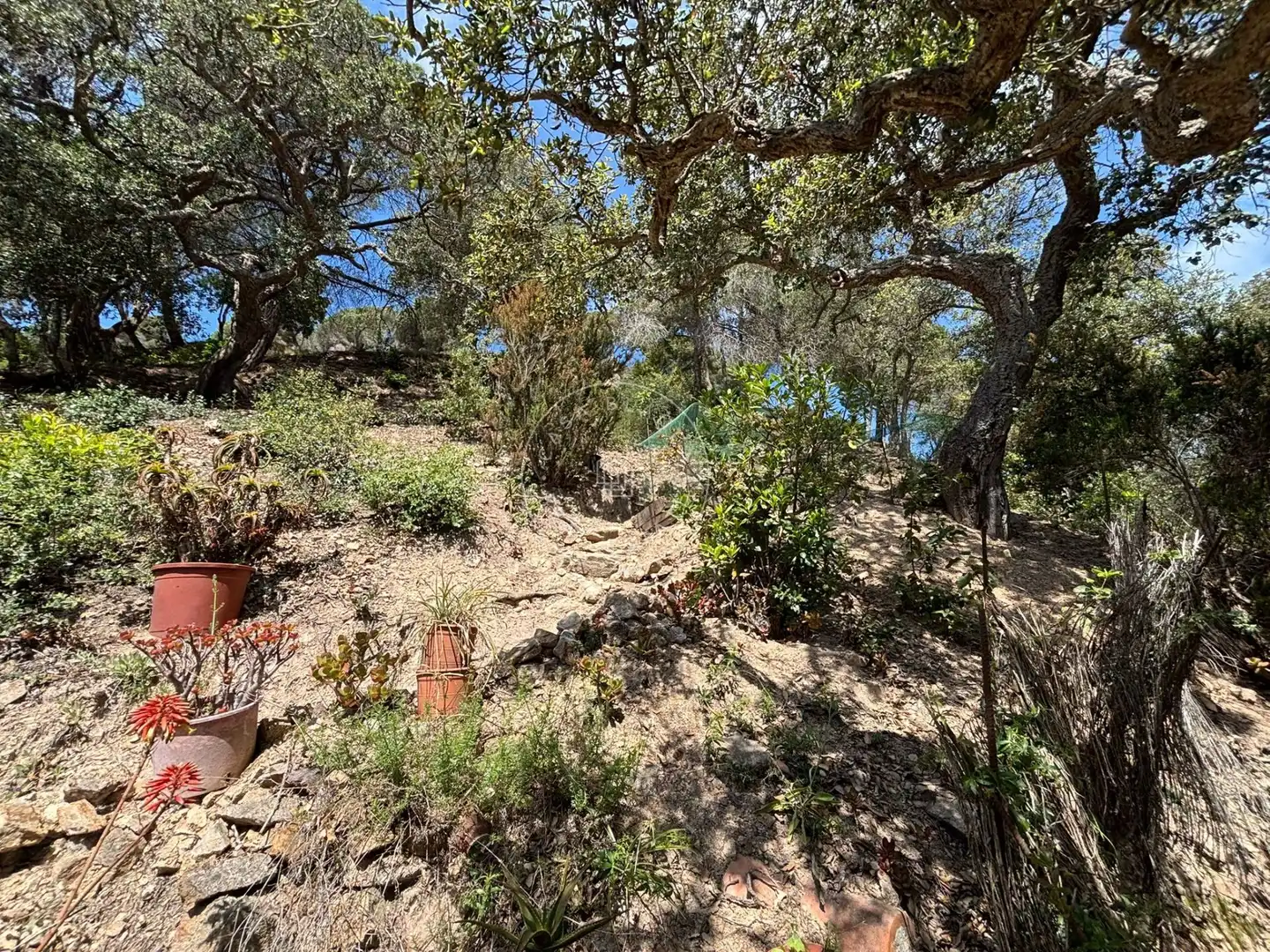 Terrenos y solares en venta en Canyelles, imagen 11