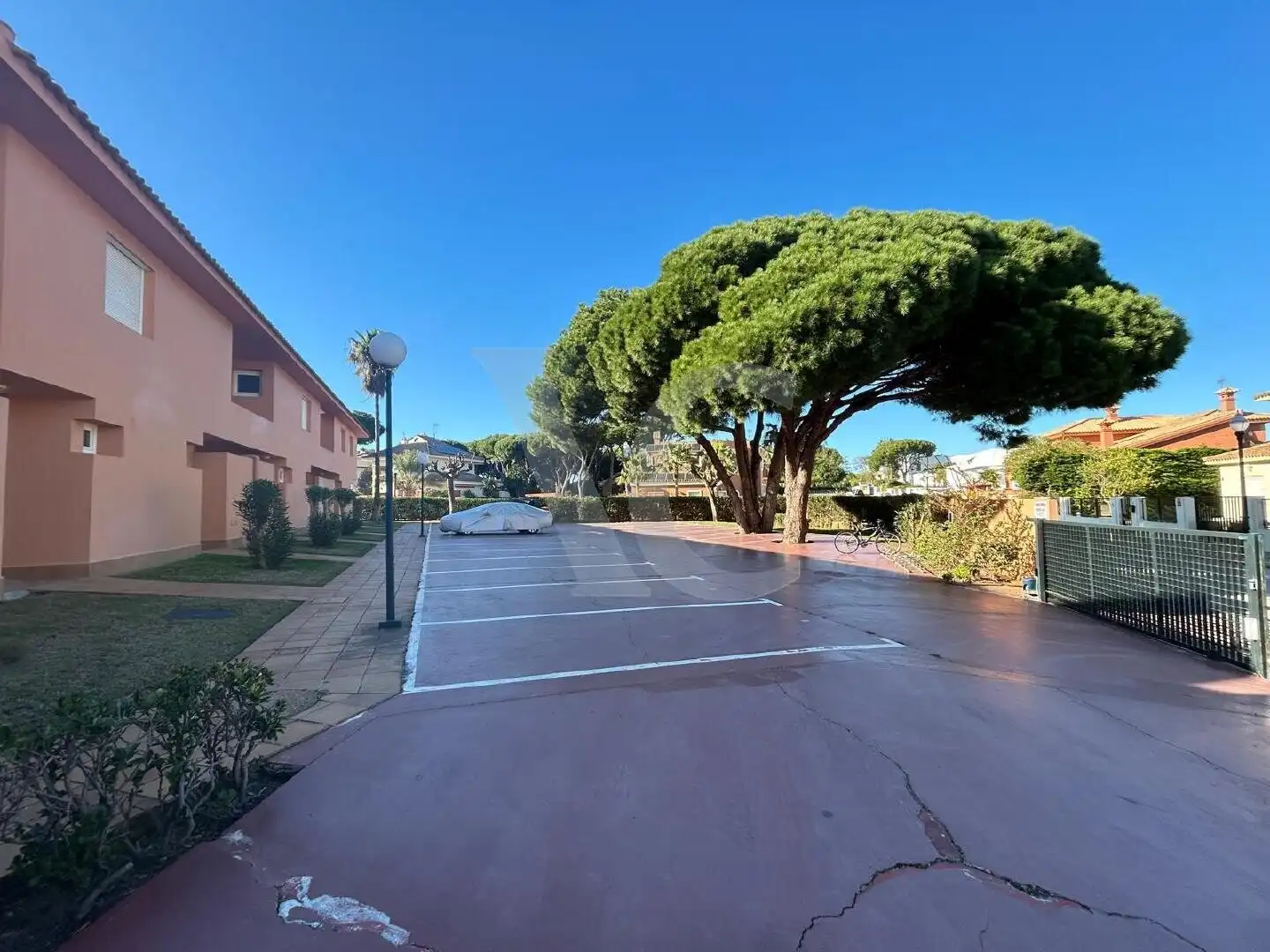 Houses for rent in Novo Sancti Petri