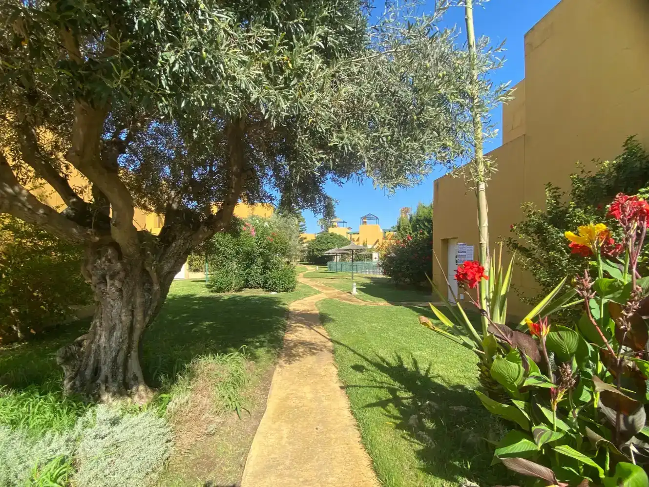 Vista exterior de Pis en venda en Rota amb Aire condicionat, Jardí privat i Piscina