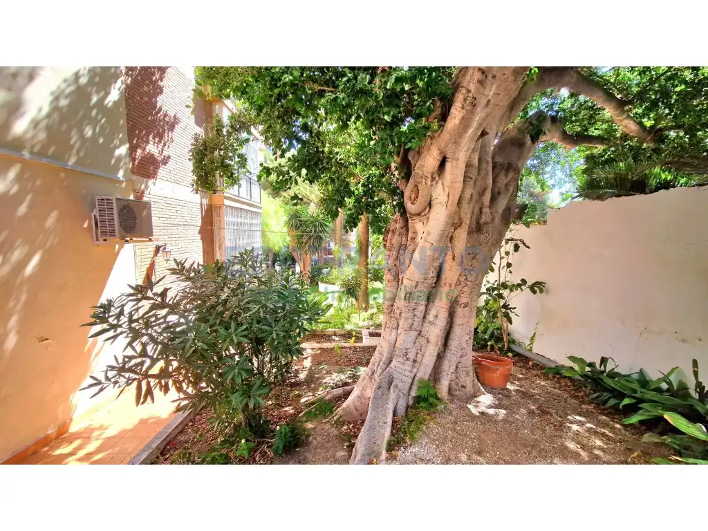 Garden of Flat for sale in Málaga