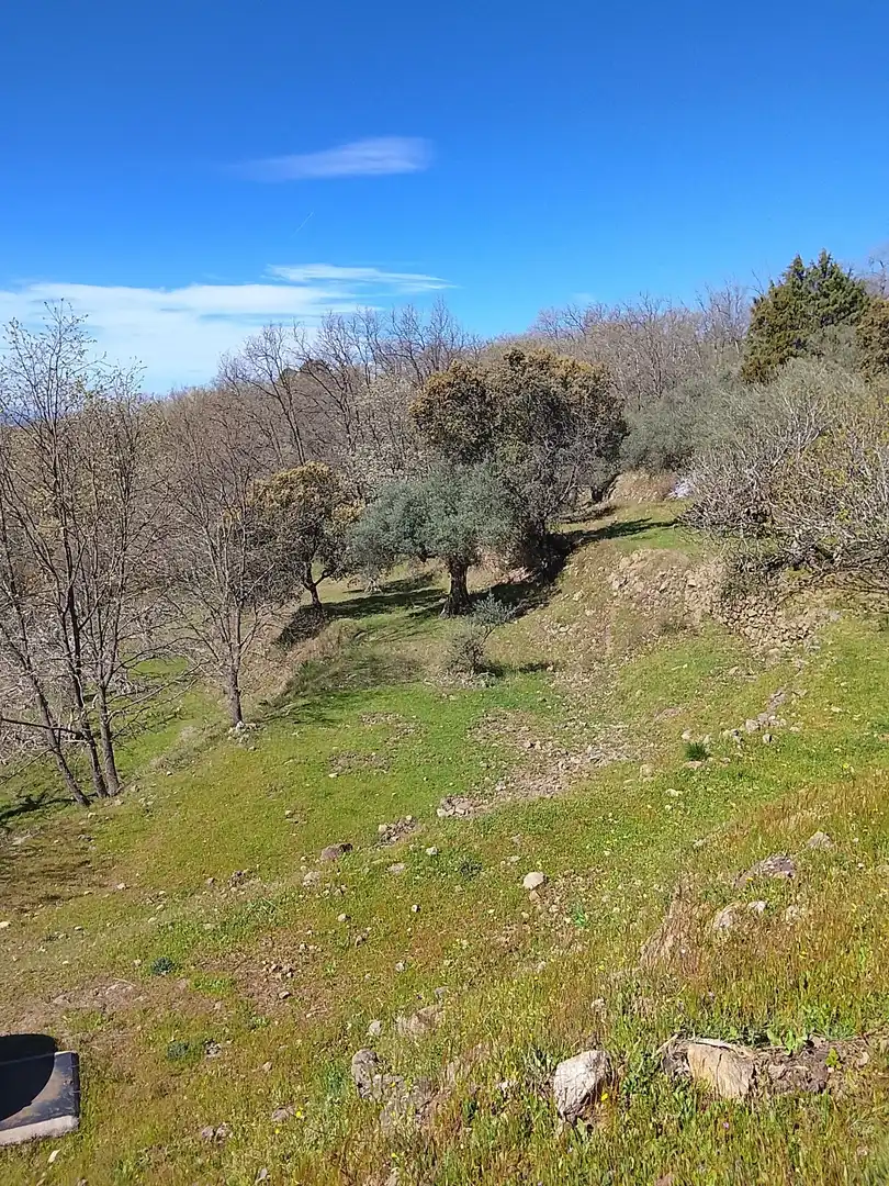 Terreni e lotti in vendita a Candeleda, imagen 19