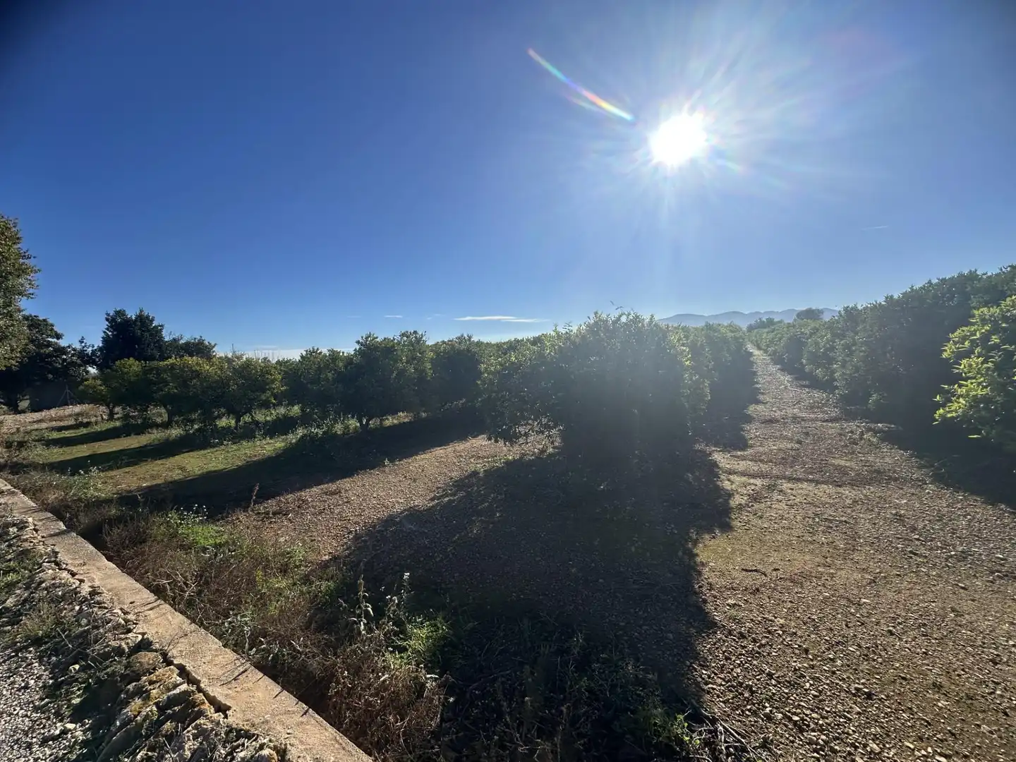 Rural land for sale in Masdenverge, imagen 3