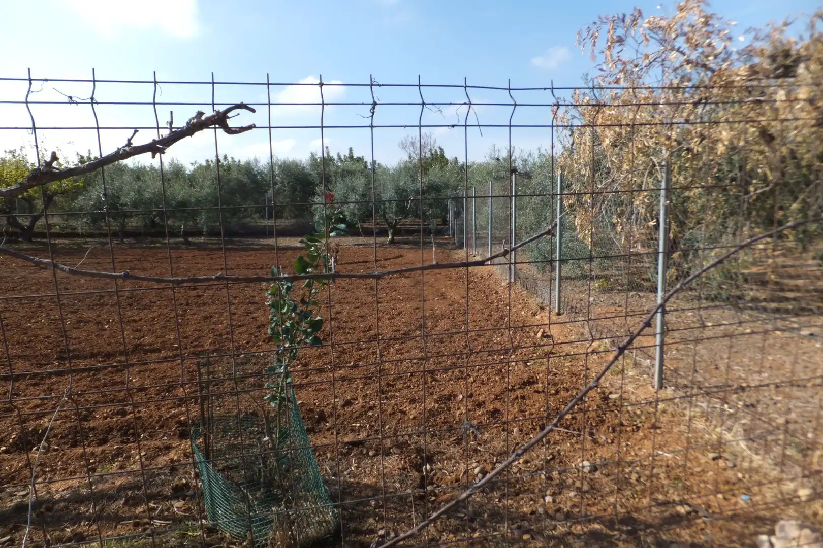 Terreno residencial en venta en Riudoms, imagen 43