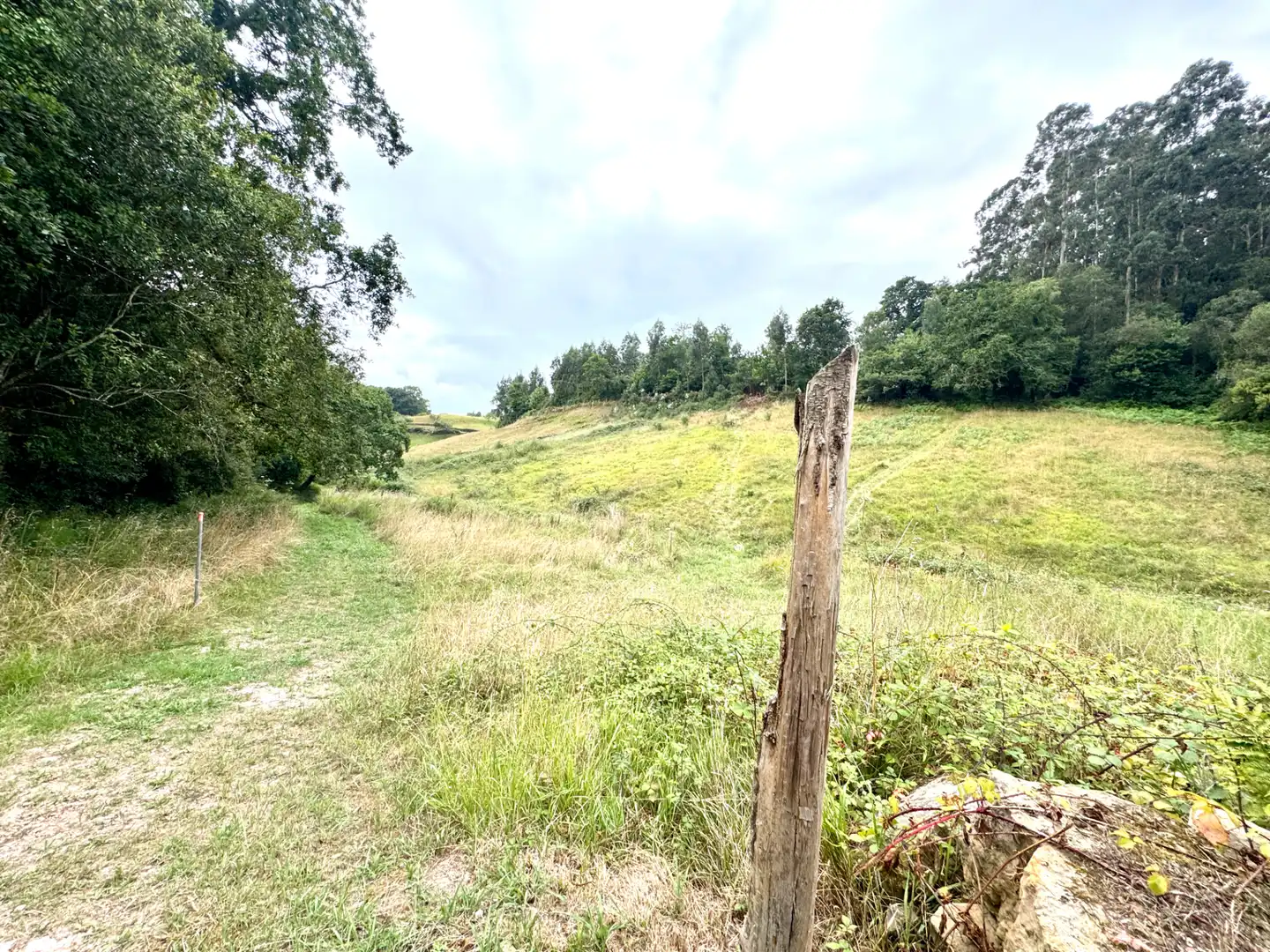 Terreno en venta en Villaviciosa