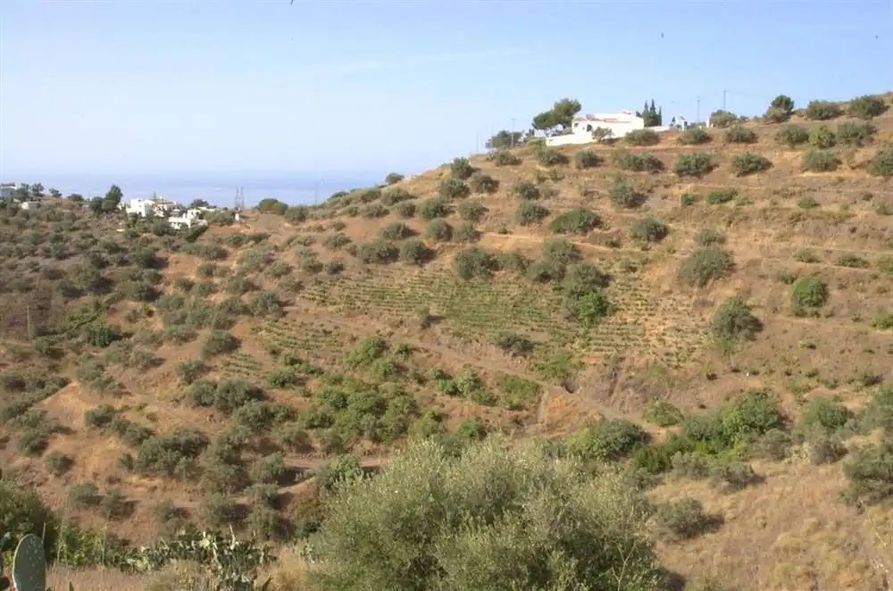 Rustikales Grundstück zum Verkauf in Torrox Pueblo