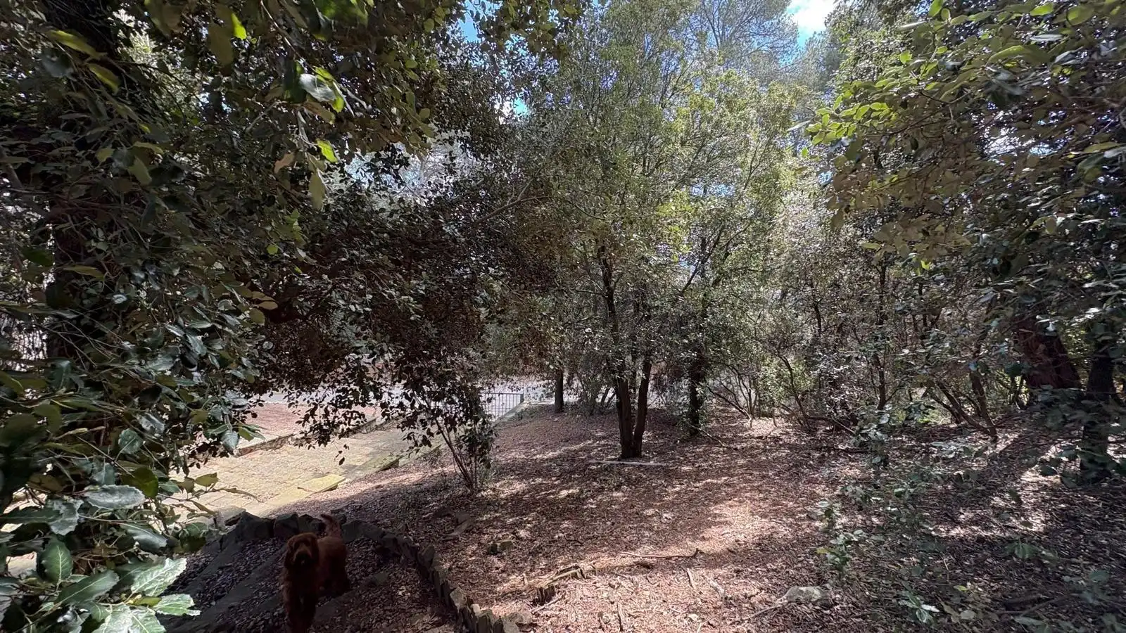 Wohnbaugrundstück zum Verkauf in Poble, imagen 9