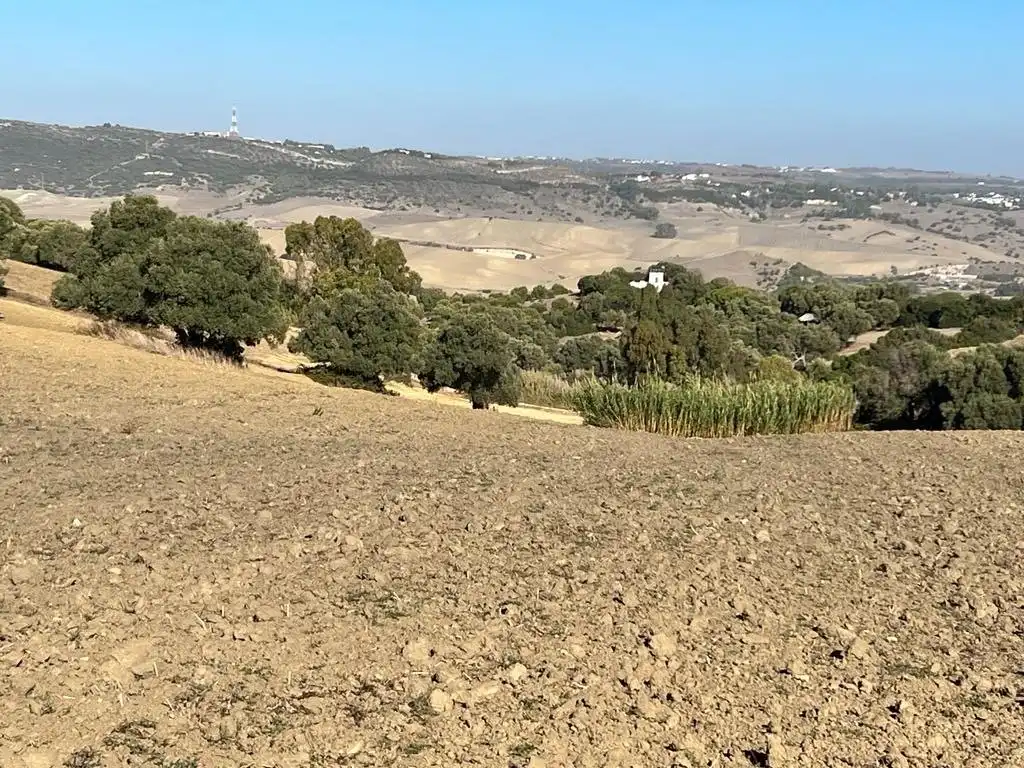 Casa rústica en venda a Vejer, imagen 2
