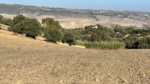 ESTUPENDA PARCELA RUSTICA EN VEJER DE LA FRONTERA, imatge 2