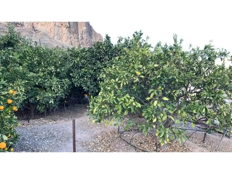 Country homes for sale in El Horno