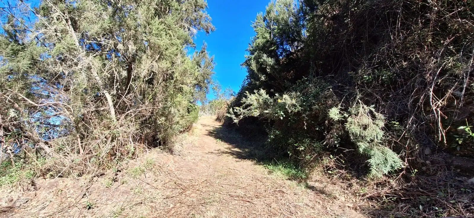 Finca rústica en venta en Los Realejos con Jardín privado y Terraza