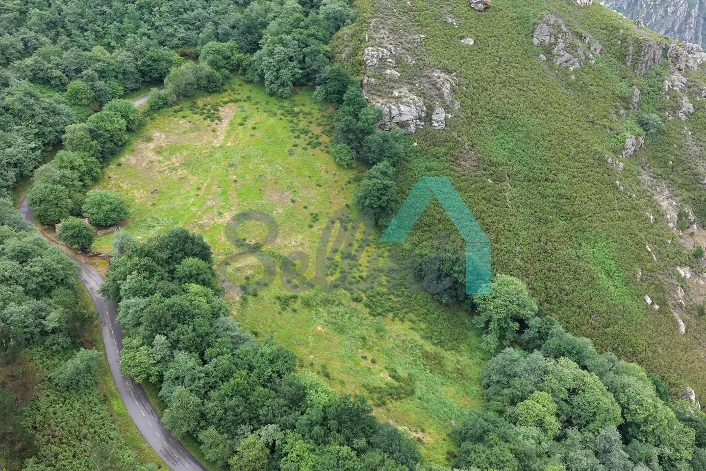Land for sale in Proaza