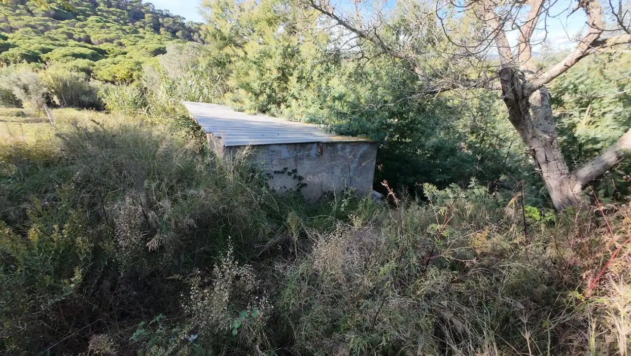 Terreny rústic en venda a Mas Trempat - Sant Amanç - Casa Nova, imagen 13