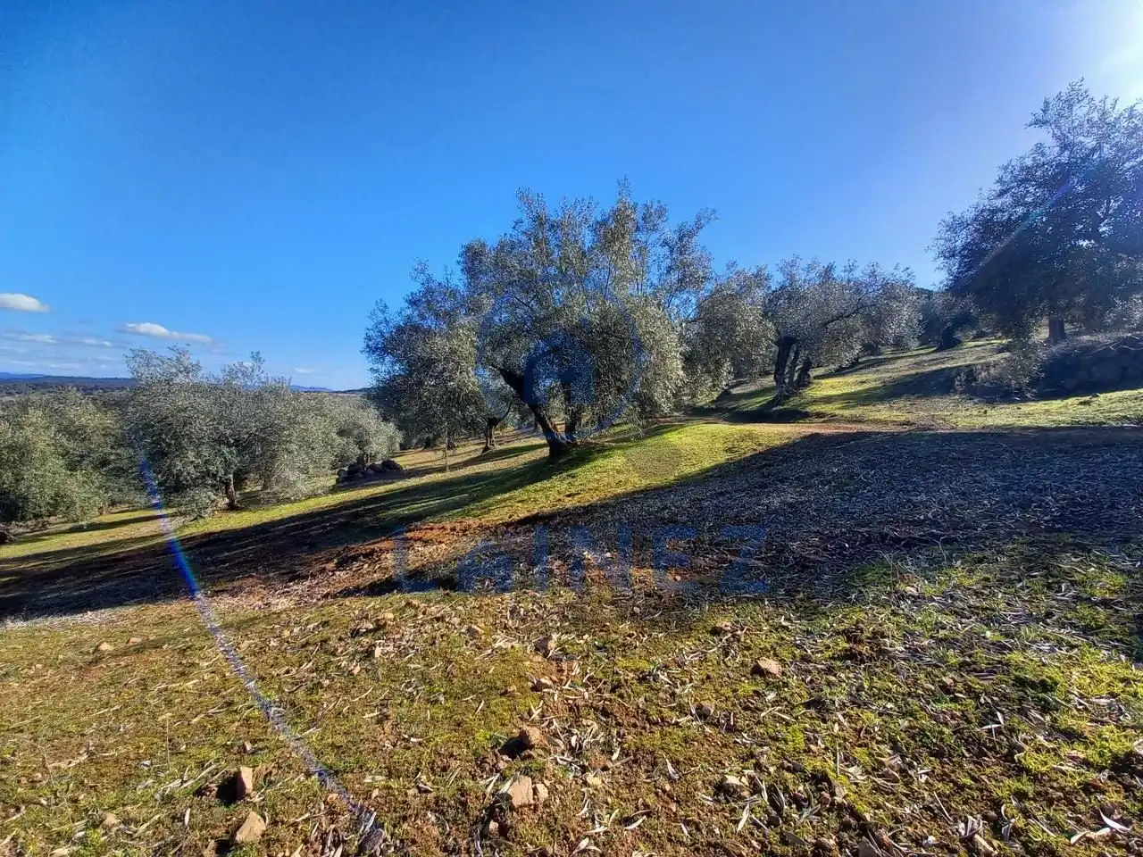 Terreno residenziale in vendita a Villanueva del Rey, imagen 53