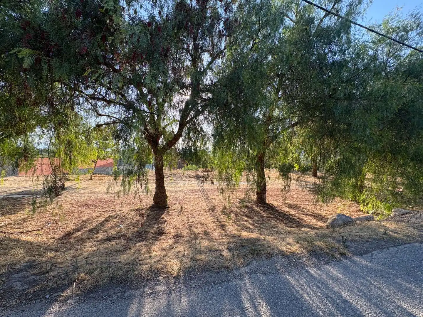 Terrenos y solares en venta en Pliego, imagen 3